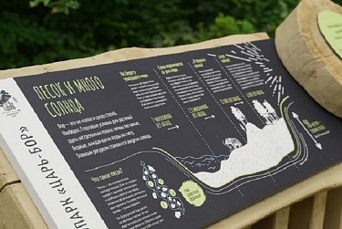 В Бузулукском бору появился экопарк